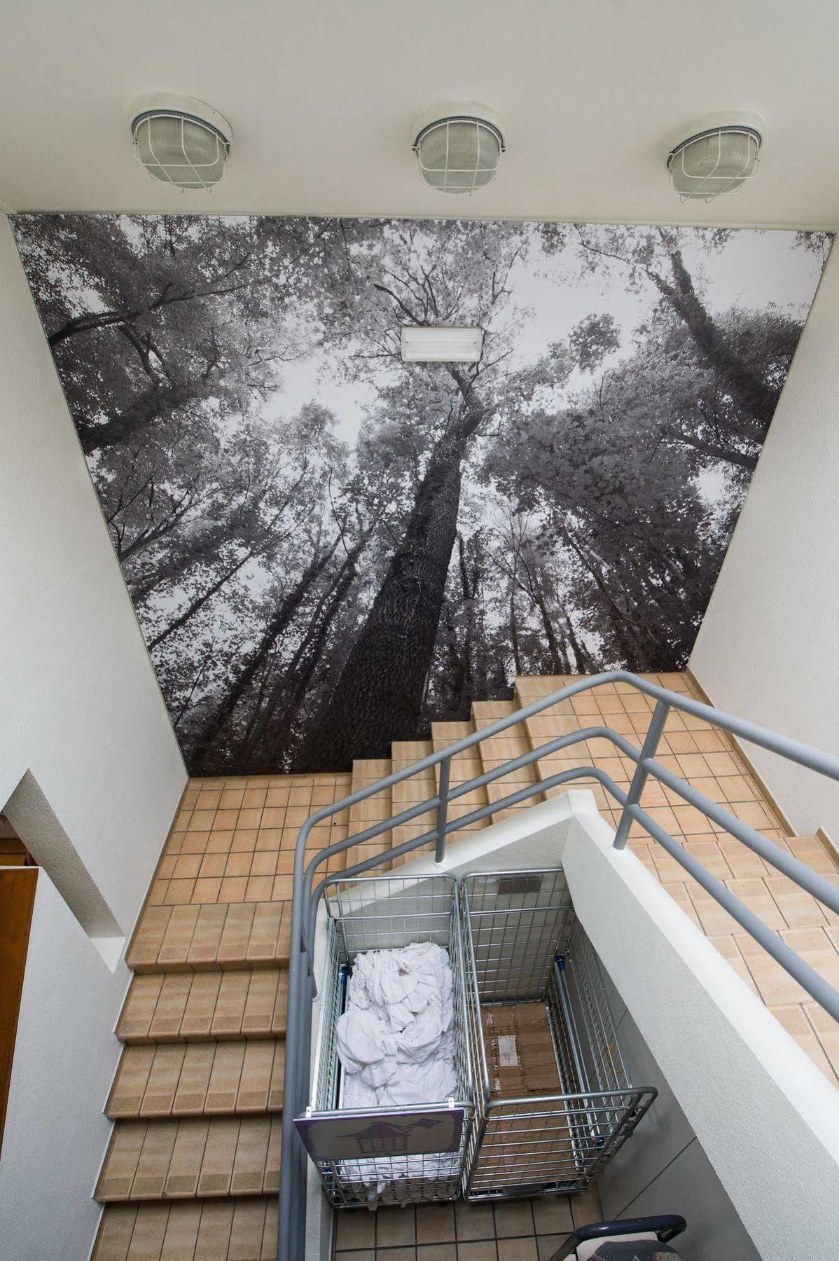Auberge De Jeunesse De La Roche - Champlon Tenneville Экстерьер фото